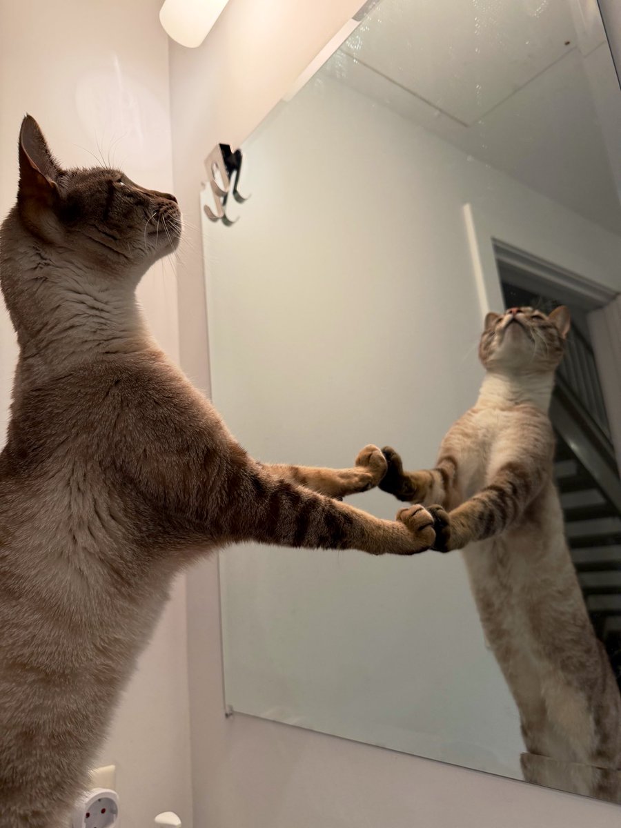 Gaïa et Yuki tweet media