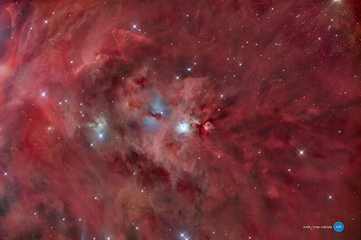 AstroBin's Image of the Day: "IC 427 - NGC 1999 (HaLRGB)" by Mar Mérida - astrobin.com/bor521/

#astrophotography