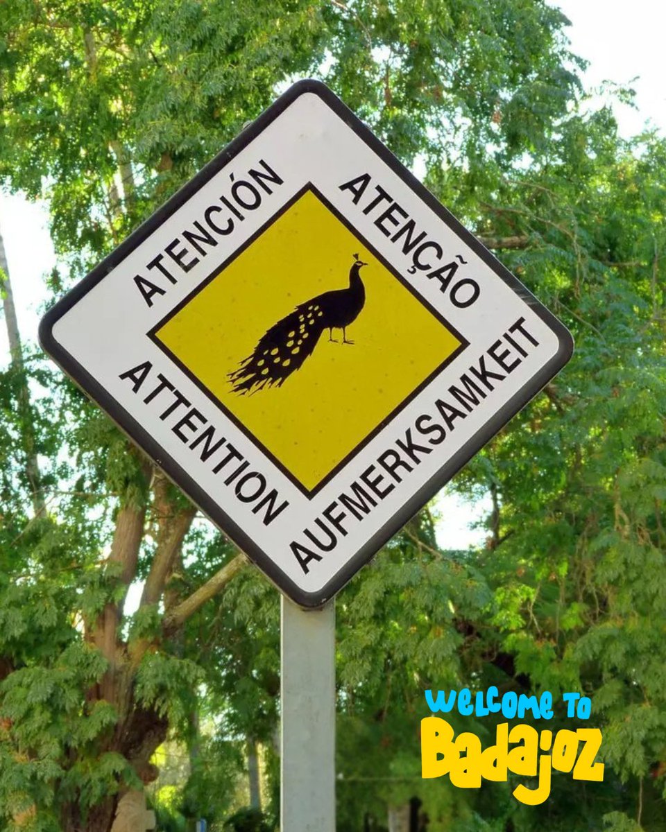 Turismo Badajoz tweet media