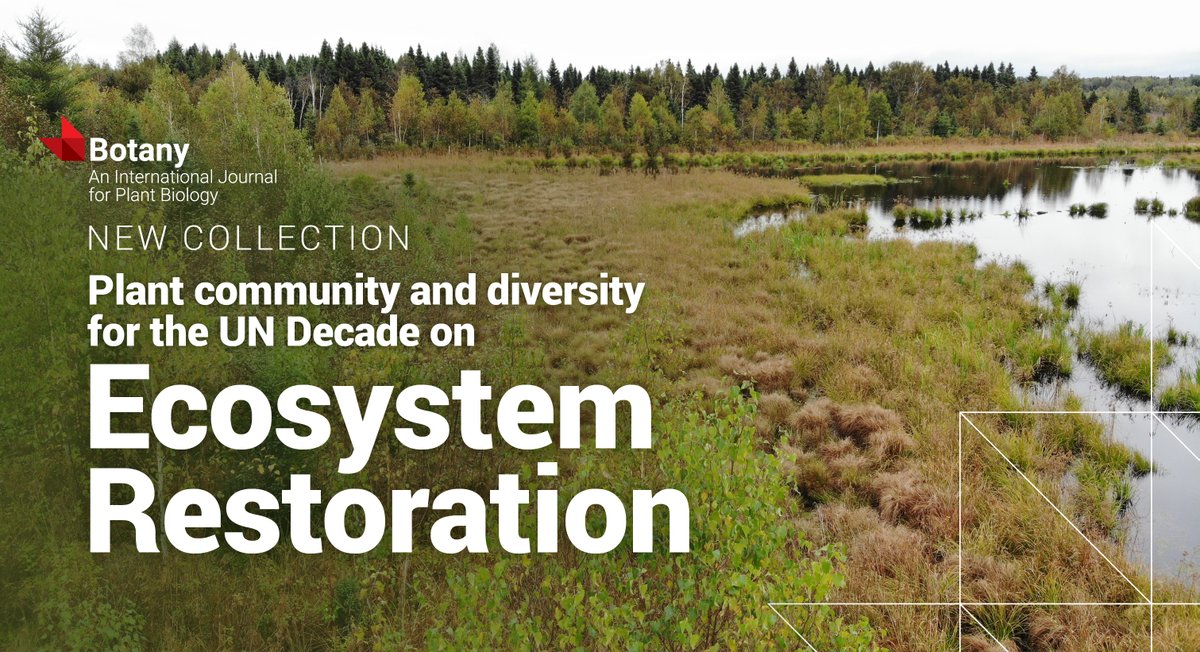 cdnsciencepub's tweet image. What role do native plants play in successful restoration?
This @Botany_Journal collection highlights how plant diversity supports soil, water, and wildlife. Learn more ▶️ ow.ly/rGYV50WqM8q
#UNDecade #EcosystemRestoration #NativePlants