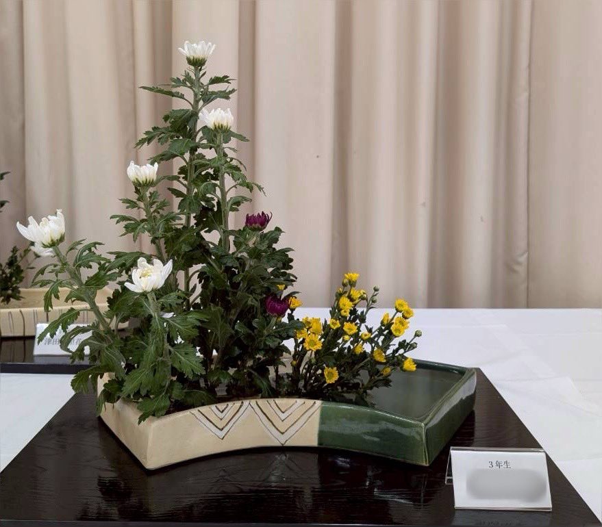 gwc_miyabi609's tweet image. ごきげんよう🌸
先日開催された和祭の作品紹介です！

最後の和祭は、
古くから長寿や邪気払いの象徴とされてきた「菊」をテーマに作品を作り上げました！

 #学習院女子大学 #学女 #gwc #和祭 
#春から学習院女子大学 #春から学女
#春からgwc #いけばな #小原流