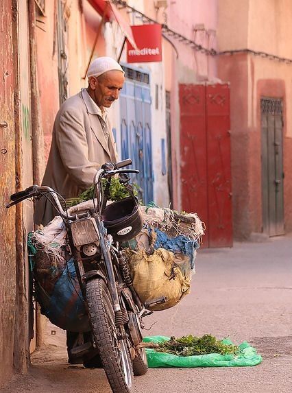 لم يكن استقلال المغرب نتيجة ثورة ، ولا وليد حرب تحريرية طويلة الامد ، وانما كان نتيجة حلول وسطى توفيقية ، كانت اجهاضا لثورة كانت في طور المخاض ، فبقى النزيف ، نزيف الاجهاض ، يغذي المشاكل الاجتماعية والاقتصادية والسياسية الى اليوم .
📚 أضواء على مشكل التعليم في المغرب