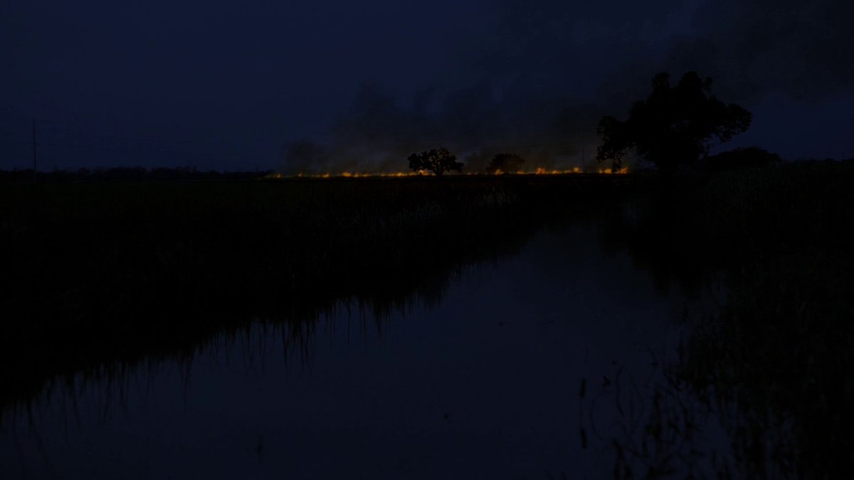 bartonovopolis's tweet image. “The Long Bright Dark”
One of my favorite series premieres ever.