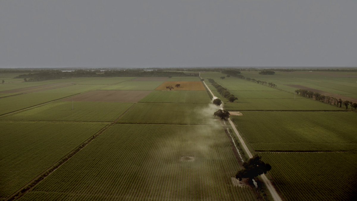 bartonovopolis's tweet image. “The Long Bright Dark”
One of my favorite series premieres ever.