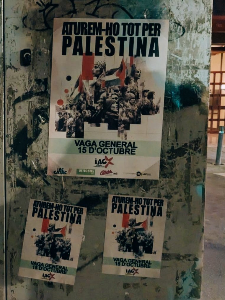 🟢 Convocatòries de mobilitzacions per la #VagaGeneral del 15 d'octubre.

iac.cat/2025/10/14/695…

Per una solució política, aturem el genocidi, l’ocupació, el colonialisme i l’apartheid. Lluitem per una desinversió dels pressupostos militars.
#VagaxPalestina