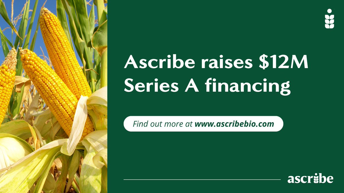 A big milestone for <a href="/AscribeBio/">Ascribe</a>, securing runway to bring our novel biofungicide to market &amp; welcoming both <a href="/corteva/">Corteva Agriscience</a>  &amp; <a href="/Syngenta/">Syngenta</a> as new investors: businesswire.com/news/home/2025…