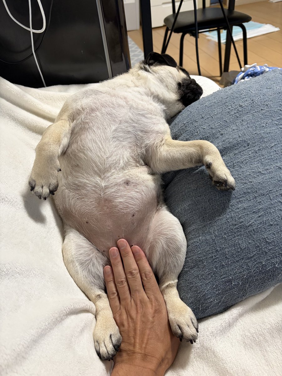 レディーなのにはしたないな、、、