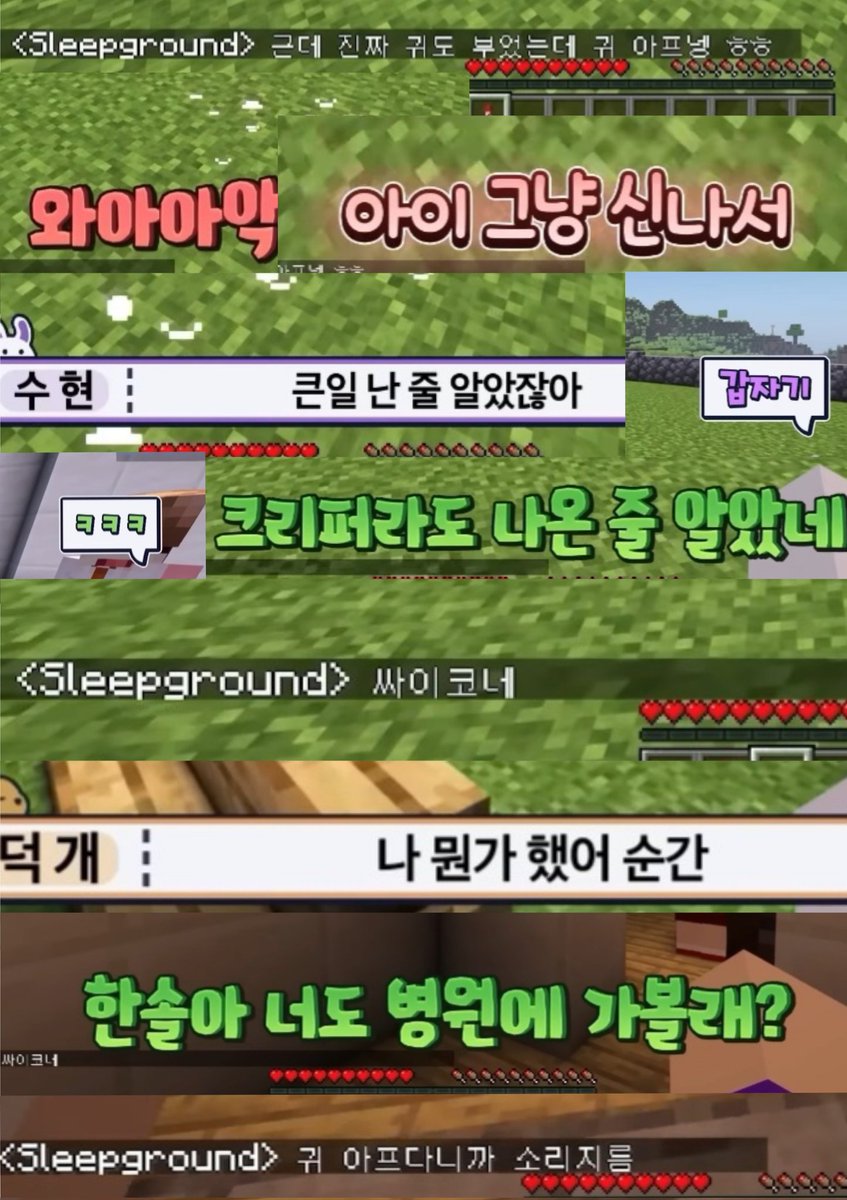 영상에서 갑자기 개큰소리나서 ㅈㄴ놀랐슨 정체는 라더 였슨 근데 이유가 누나 귀아파서 였슨