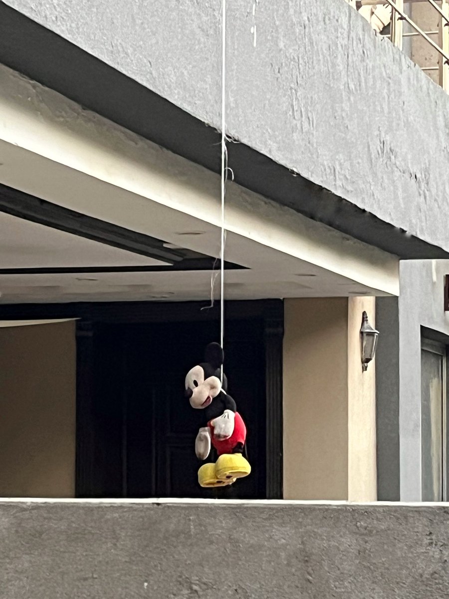 maadismad's tweet image. my neighbor’s kids are onto smth