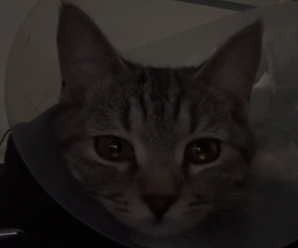 تأنيب الضمير بعد التعقيم :(