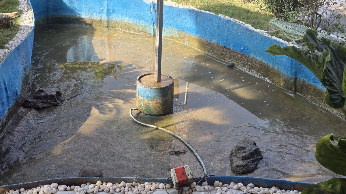 KPSC actively participated in Swachhata Hi Seva under Special Campaign 5.0 by cleaning Pond Ecosystem of the Centre. 
#SpecialCampaign5 #CleanlinessMatters #CleanIndiaGreenIndia #swachhbharatchallenge
Special Campaign 5.0, Cleanliness Drive, Green &amp; Clean, Swachh Bharat, Hygiene