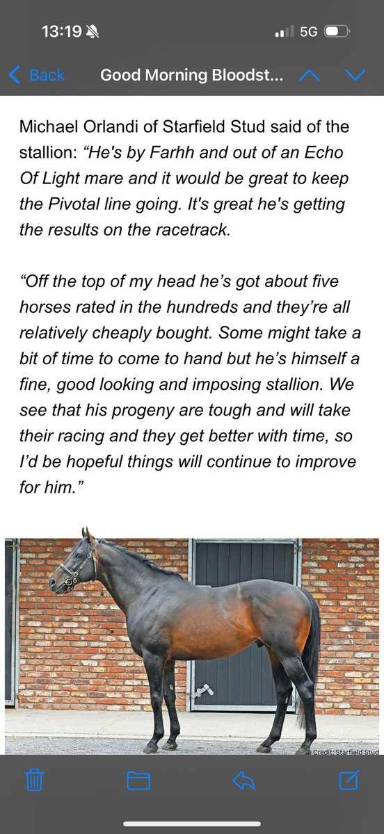 ✍️ Penned my thoughts on Starfield Stud resident King Of Change in today’s Good Morning Bloodstock.