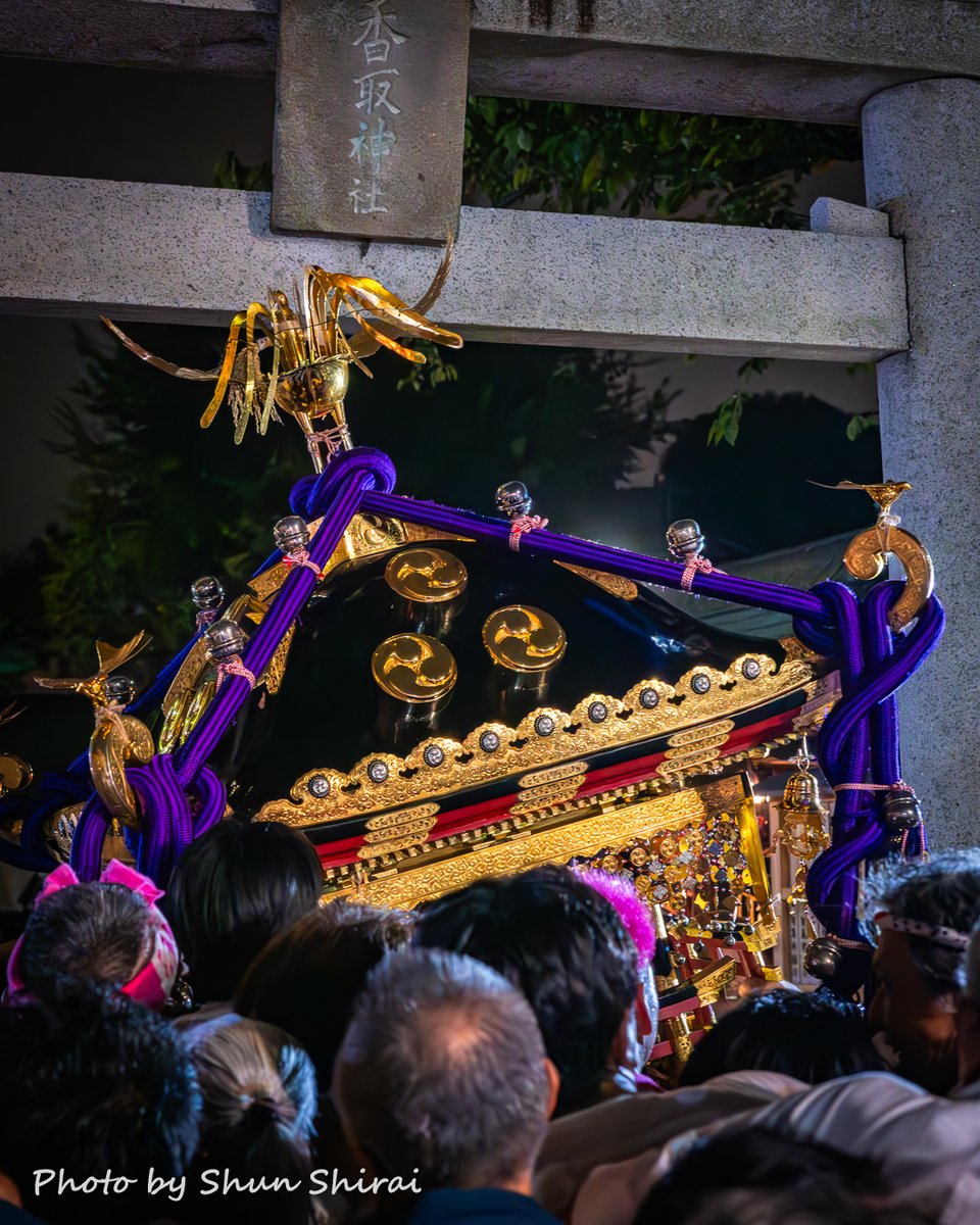 JUN1785's tweet photo. ■タイトル：祭りのクライマックス・宮入りの瞬間️（10/12.撮影）
■撮影スポット：市川市・香取神社四ケ村例大祭
■一言：おととい開催された香取神社四ケ村例大祭で、欠真間、香取、湊新田、湊の町を早朝から丸一日渡御してきた宮神輿が、神社に戻ってきて宮入りする瞬間です。

行徳の多くの祭礼では神輿の渡御は神輿の上の鳳凰が鳥居をくぐれば宮入りとなり、祭礼は終わりを迎えますが、担ぎ手にとっては祭りが終わってしまうのが名残惜しいので、渡御を終わらせまいと鳥居の前で神輿を戻そうとする担ぎ手と、早く宮入りさせようと押す側のギリギリの攻防が何度も繰り広げられ、祭りの熱気は最高潮に✨️
1枚目の写真はその攻防を何度か繰り返した後、ついに宮入りする瞬間、2枚目以降はその前にギリギリのところで押し戻される様子です。

実は宮入りした後もすぐに神輿を揉むのが終わるわけではなく、余韻を楽しむように境内でしばらく行徳揉み（面すれすれに回転する「地すり」、神輿を差し上げながら回転する「差し」、神輿を放り投げて受け止める「放り受け」）を繰り返します。
行徳の人はお祭りで神輿を揉むのが本当に好きなのが伝わってきます✨️

🌇 Gyotoku Kandori Shrine Four Town Grand Festival
📍 Ichikawa City,Chiba Japan
📸 Oct 12,2025

#市川 #千葉 #神輿 #神輿のまち行徳 #行徳 #行徳神輿 #japan #photo_jpn #raw_japan #東京カメラ部 #nipponpic #zekkei_joyful #ちばとぴフォト部投稿