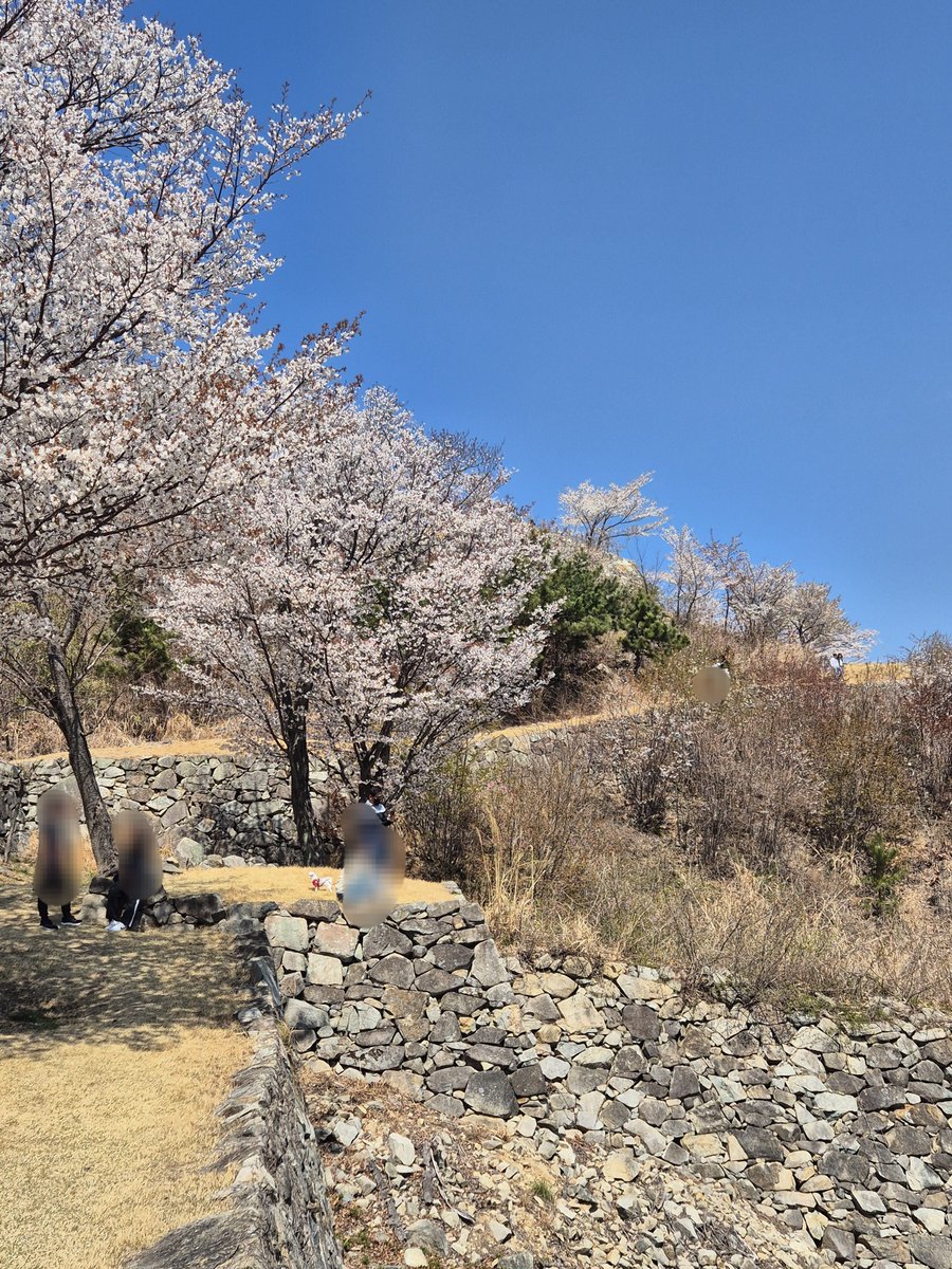 구마모토 성 내부의 왜성 설명문 중 뭔가 낯익은 한자 '서생포(왜)성'
여기 울산이다..