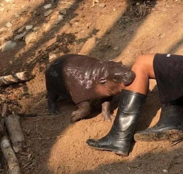 사랑한다는 말이  좋음….
살 앙 한다는 거 같고…
