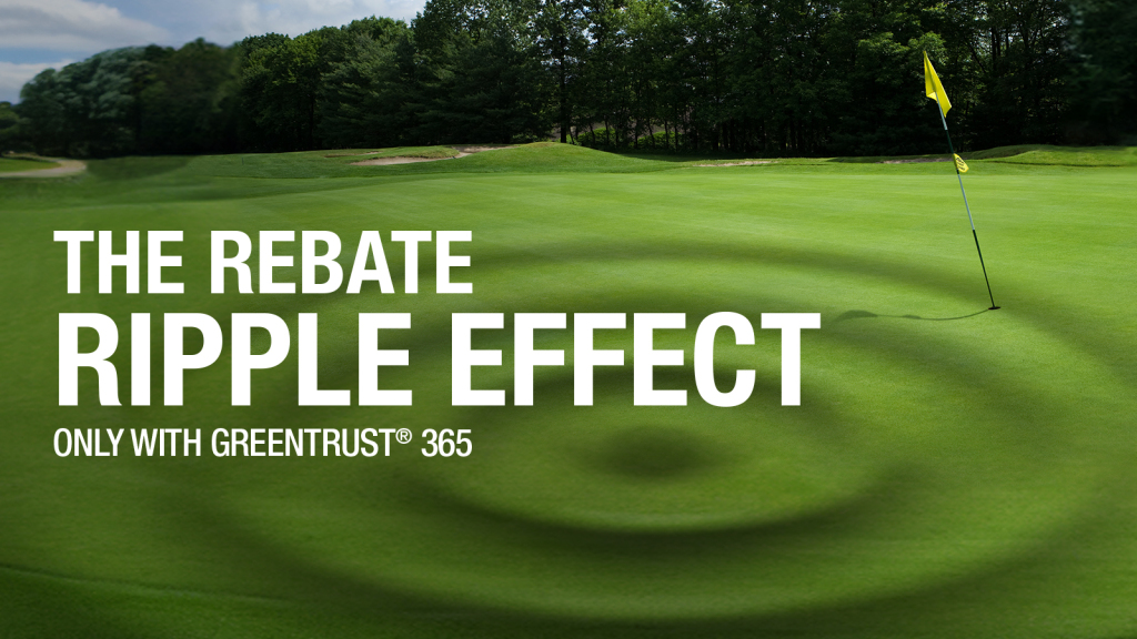 Syngenta Turf US tweet media