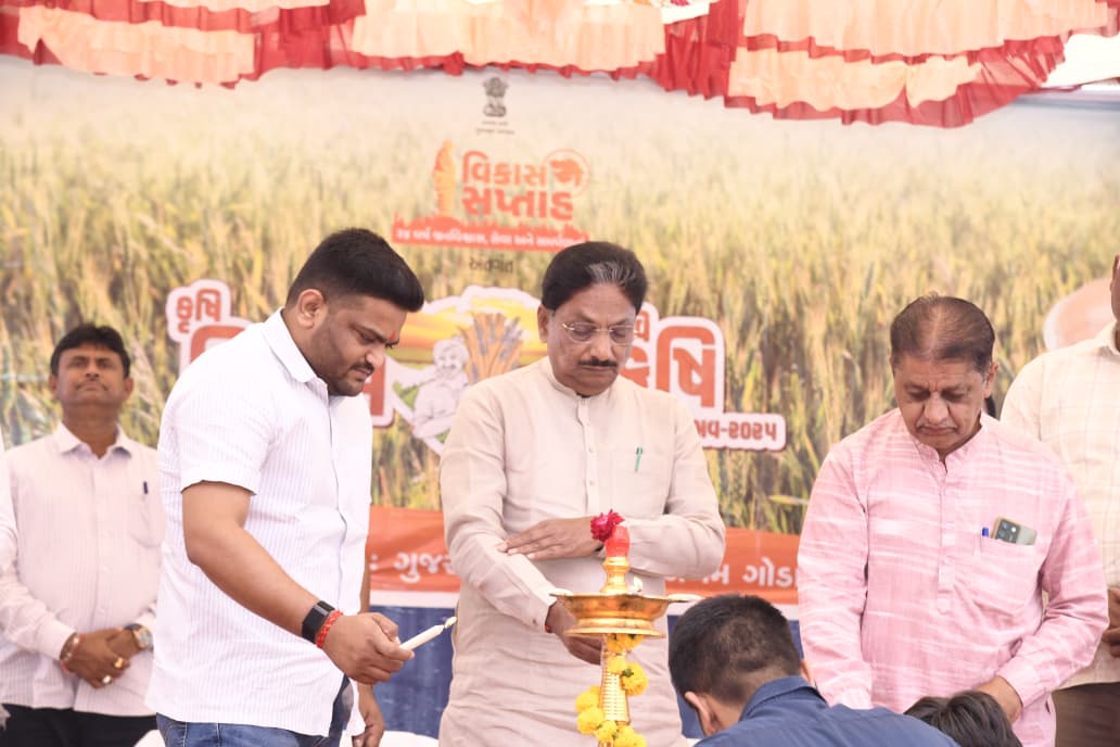 dp_amdavad's tweet photo. આજ રોજ વિકાસ સપ્તાહ અંતર્ગત કૃષિ વિકાસ દિવસ નિમિત્તે આરોગ્ય મંત્રીશ્રી ઋષિકેશભાઈ પટેલ, વિરમગામના ધારાસભ્યશ્રી હાર્દિક પટેલ અને કલેકટરશ્રીની પ્રેરક ઉપસ્થિતિમાં અત્રેના જિલ્લાના વિરમગામ ખાતેથી રવિ કૃષિ મહોત્સવ - ૨૦૨૫નો શુભારંભ કરવામાં આવ્યો જેમાં જિલ્લાના તેમજ વિરમગામ તાલુકાના શ્રેષ્ઠ આત્મા ખેડૂત અને શ્રેષ્ઠ પશુપાલકોને એવોર્ડથી સન્માનિત કરવામાં આવ્યા તથા વિરમગામમાં સરકારની વિવિધ યોજનાના લાભાર્થીઓનું સન્માન, સહાય, મંજૂરીપત્રોનું વિતરણ તેમજ ખેડૂતોને રવી પાક ,પ્રાકૃતિક ખેતી, નવીનતમ ટેકનોલોજી અંગે માહિતીગાર કરવામાં આવ્યા. 
@CMOGuj @infoahdgog @InfoGujarat @mopr_goi @GujDCoffice @irushikeshpatel