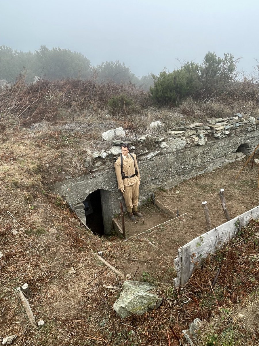 DSDEN de Haute Corse tweet media