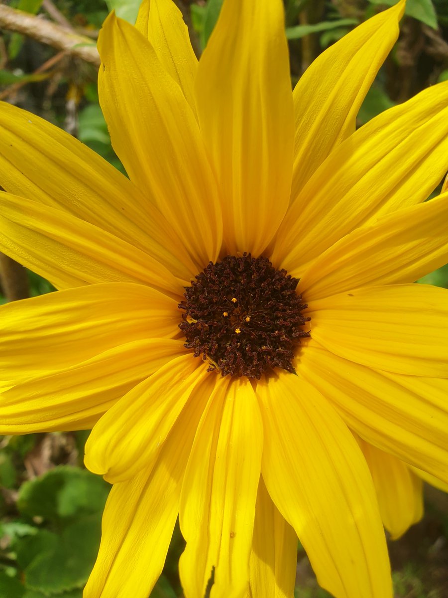 heltweet's tweet image. Good night #Wordlers
Almost forgot to solve Wordle!
#TalkingTuesday
Almost 11 p.m.
Fast 3
Easy game tonight
Good luck to those in the Northern Hemisphere.
Zzzz
#Wordle1578 3/6
⬜🟨⬜⬜🟨🕊
🟩🟩🟨⬜⬜🌻
🟩🟩🟩🟩🟩💃
Good night