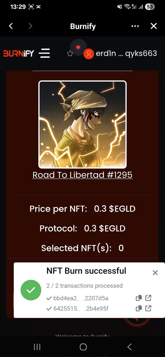 <a href="/R2LOriginal/">⛩️ RoadToLibertad ⛩️</a> Burn 🔥