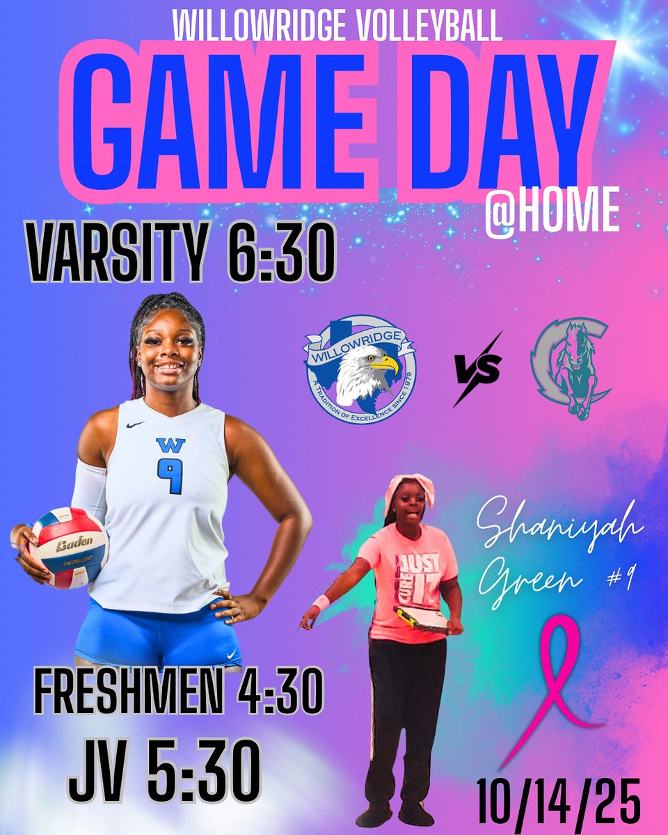 Lady Eagles Volleyball (@willowridgevb) on Twitter photo 