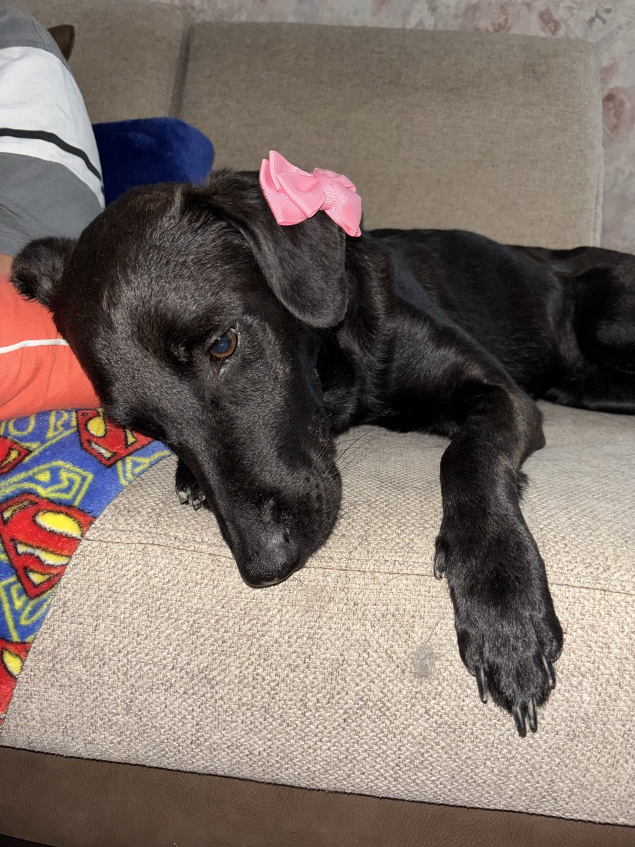 😍😍😍😍
Mi Ramiro 👦🏼 y mi Amira 🐶 

Que tengan un excelente martes!!! 💖🙃