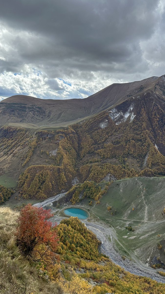 Abdulmohsen tweet media