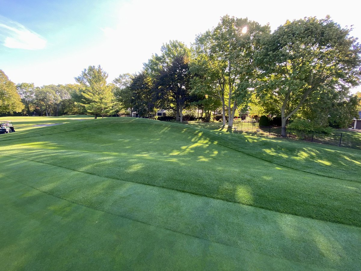 LHCC Grounds tweet media