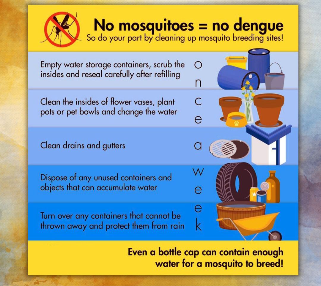 jkchanneltv's tweet image. 🚨Fight against mosquito-borne diseases like #Dengue! 📷 One key tool is vector control. Remember:

✅ Drain, wash &amp;amp; scrub water storage containers weekly

✅ Remove unused objects from around the house &amp;amp; garden

Let&apos;s prevent breeding sites and stay safe! #VectorControl