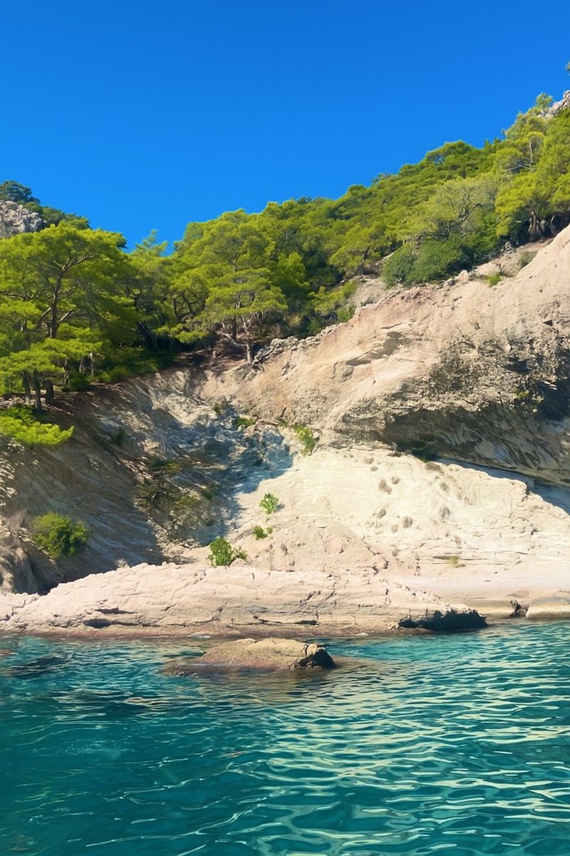 GW kombek tweet media