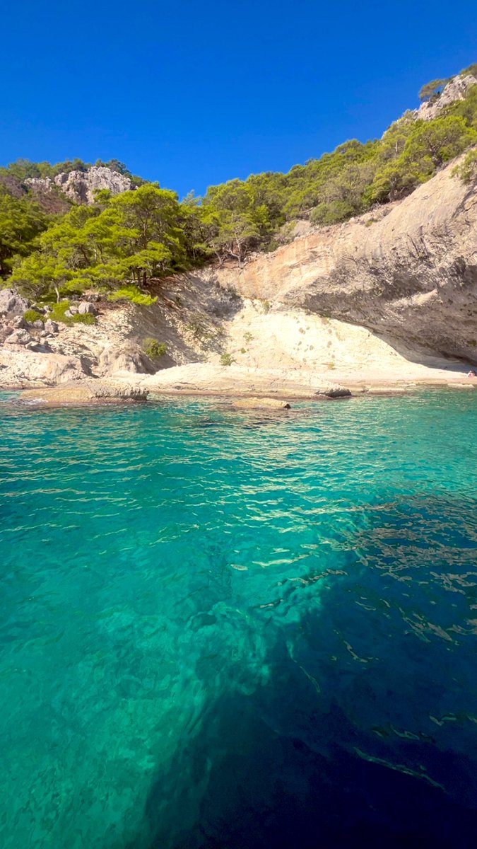 GW kombek tweet media