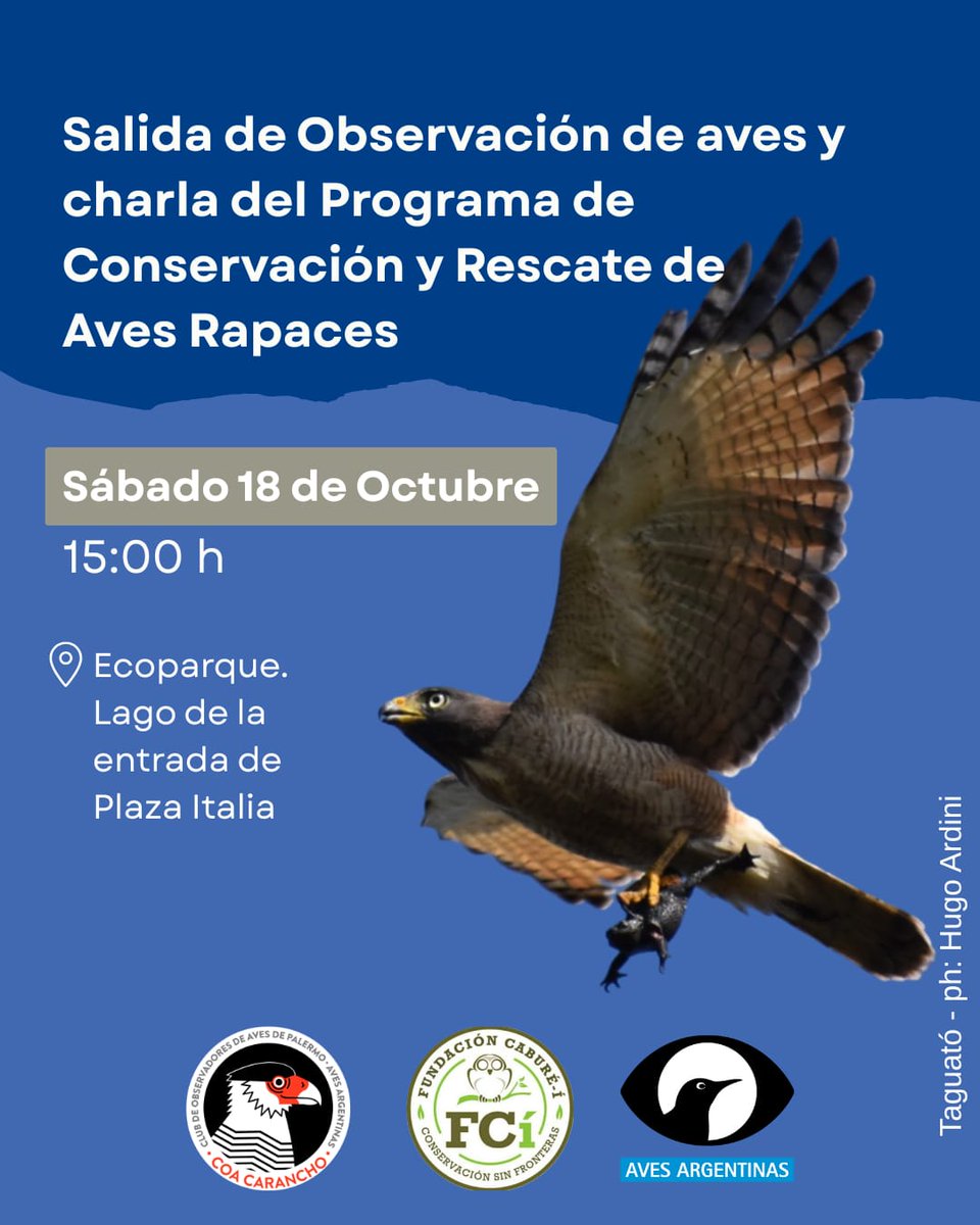 COA Carancho tweet media