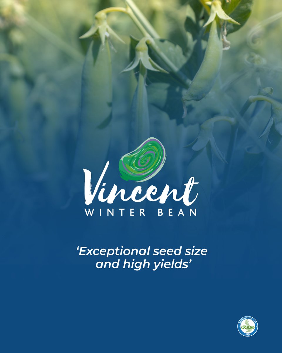 Senovaltd tweet media