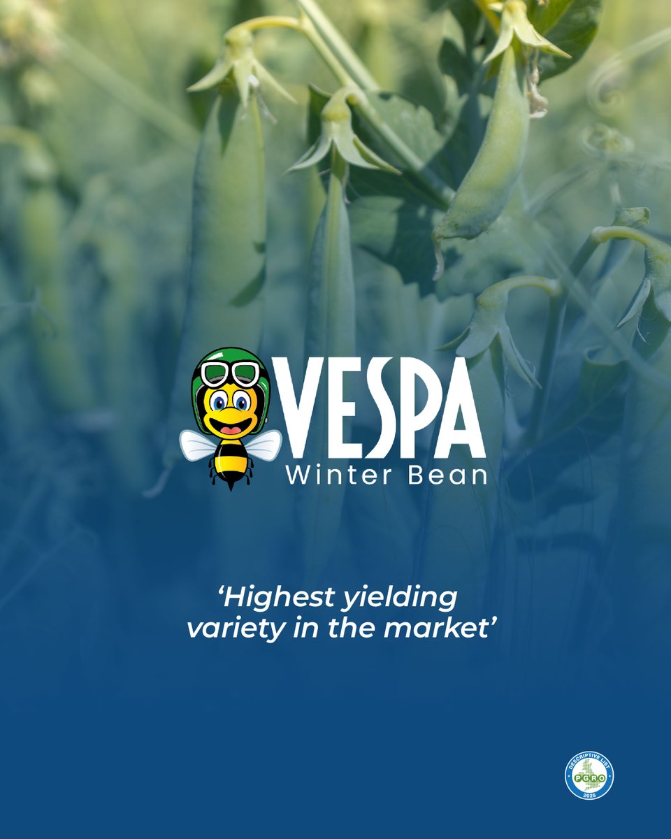 Senovaltd tweet media