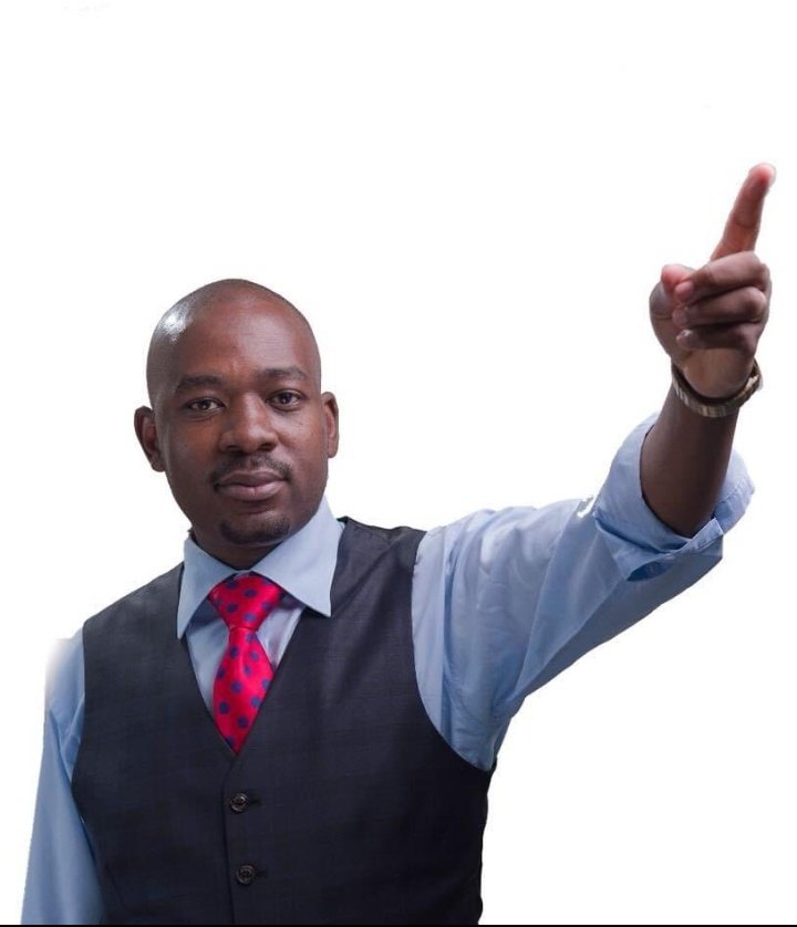 Hon Zivhu tweet media