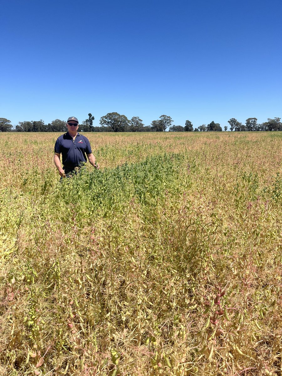 Stuart Ockerby tweet media