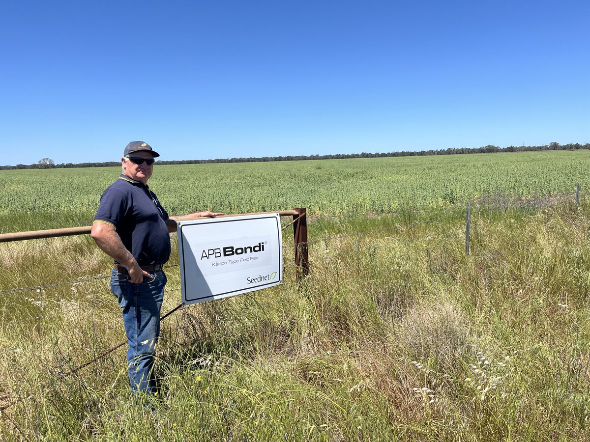 Stuart Ockerby tweet media