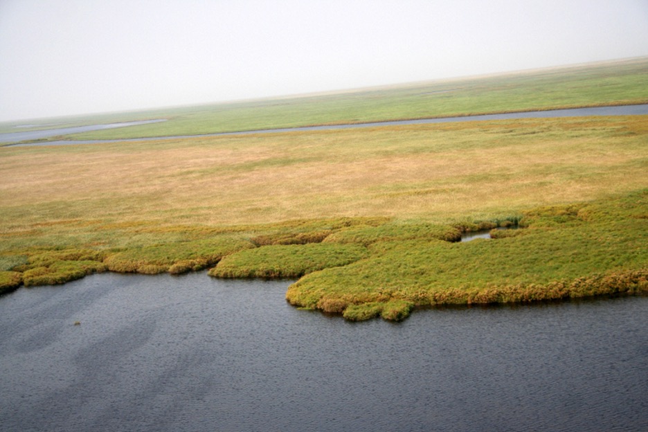 sswca2025's tweet photo. A view of the Sudd wetland. https://t.co/ClzPHkMM3P