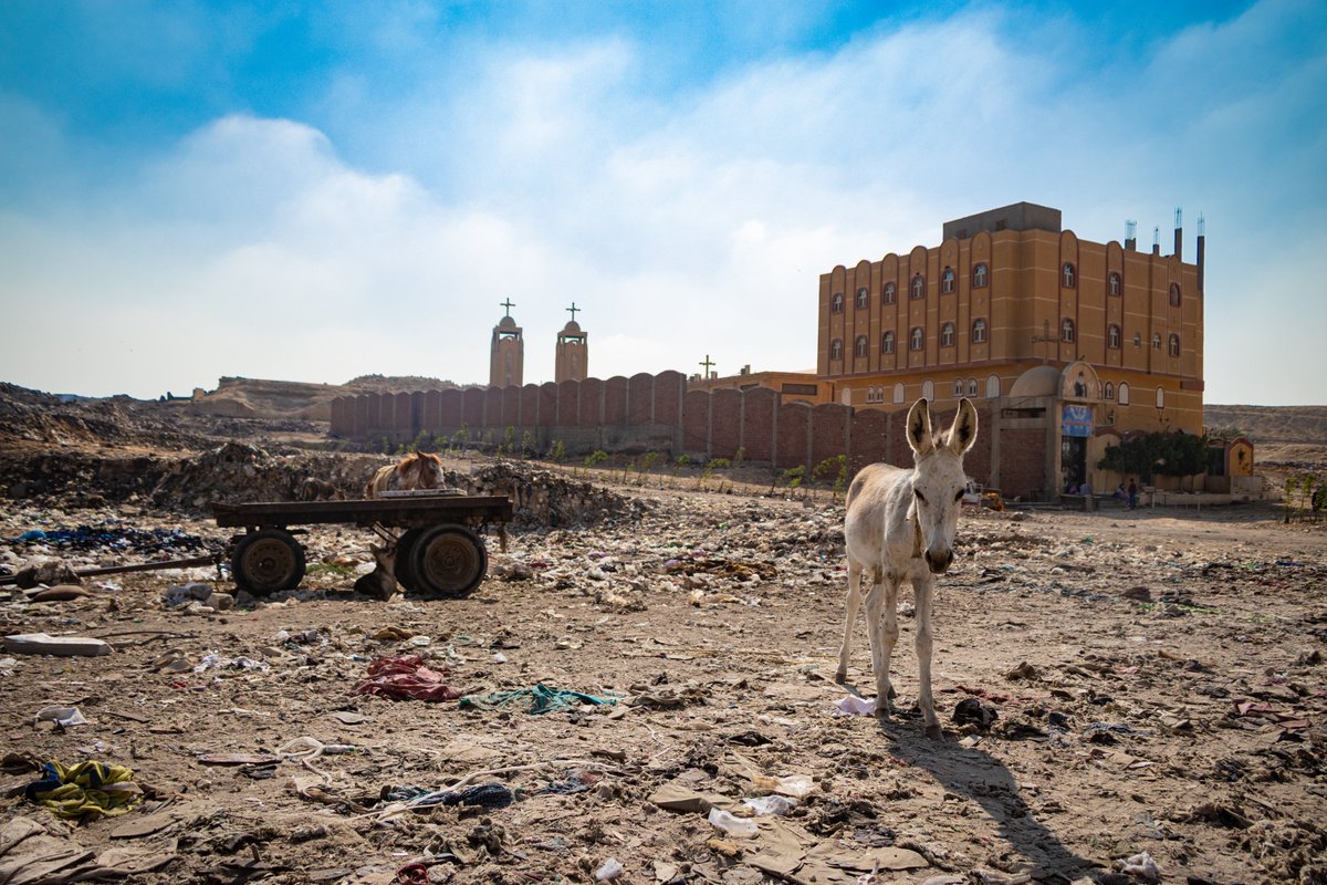 SOSCdOrient's tweet photo. 🇪🇬 #ProjetsSOS en #Egypte - Construction de l’hôpital du bidonville du 15 Mai

Au sud du Caire, dans le bidonville du 15 Mai, plus de 5 000 Egyptiens vivent dans une grande pauvreté. La plupart sont des chiffonniers, appelés localement zabbalines, qui collectent, trient et recyclent les déchets de la capitale égyptienne. Essentiels à la gestion des ordures du pays, ces hommes et femmes restent pourtant marginalisés et exclus de la société.

Sans infrastructures sanitaires ni structures de santé à proximité, les familles du 15 Mai doivent parcourir de longues distances pour se soigner, un obstacle souvent insurmontable pour les familles les plus démunies.

Face à la détresse de sa communauté, le père Athanasius, prêtre copte orthodoxe, a bâti autour de son église, une école et, depuis 2019, entamé le chantier ambitieux d’un hôpital ouvert à tous. Ce projet, longtemps freiné par des difficultés techniques et financières, connaît aujourd’hui un nouvel élan grâce aux donateurs de SOS Chrétiens d’Orient. 

Depuis plusieurs années, l’association agit dans ce bidonville, en finançant la scolarité des enfants et en organisant des distributions de colis alimentaires et de vêtements. Une fois par semaine, les volontaires donnent également des cours de français.

Désormais, ils participent également activement au chantier. À la bêche, à la pelle, à la brouette, ils nivellent le sol de la future salle d’urgence. Le travail est harassant, la poussière étouffe, mais personne ne renonce. Des enfants rient en courant derrière les brouettes, des familles observent, reconnaissantes. Sous la terre, les volontaires exhument de vieux objets, tels que des chaises rouillées, des imprimantes, des morceaux de ferraille.

L’objectif de ce projet est de terminer la structure principale du bâtiment, d’aménager un sous-sol médicalisé pour assurer une présence permanente de médecins, et d’ouvrir une pharmacie alimentée par des dons réguliers de médicaments. L’hôpital comprendra également des salles de consultation et un bloc opératoire, afin d’offrir aux habitants des soins et de proximité.

3 500 personnes bénéficieront directement de ce projet. À terme, il permettra de soigner, de prévenir les maladies et de réduire les complications médicales liées à la précarité et au manque d’hygiène.

❤️Soutenez les familles égyptiennes. Faites un don : https://t.co/bcfumRG1Nk

#chrétiensdOrient #easternchristians #Coptic #christianisme #orthodoxe