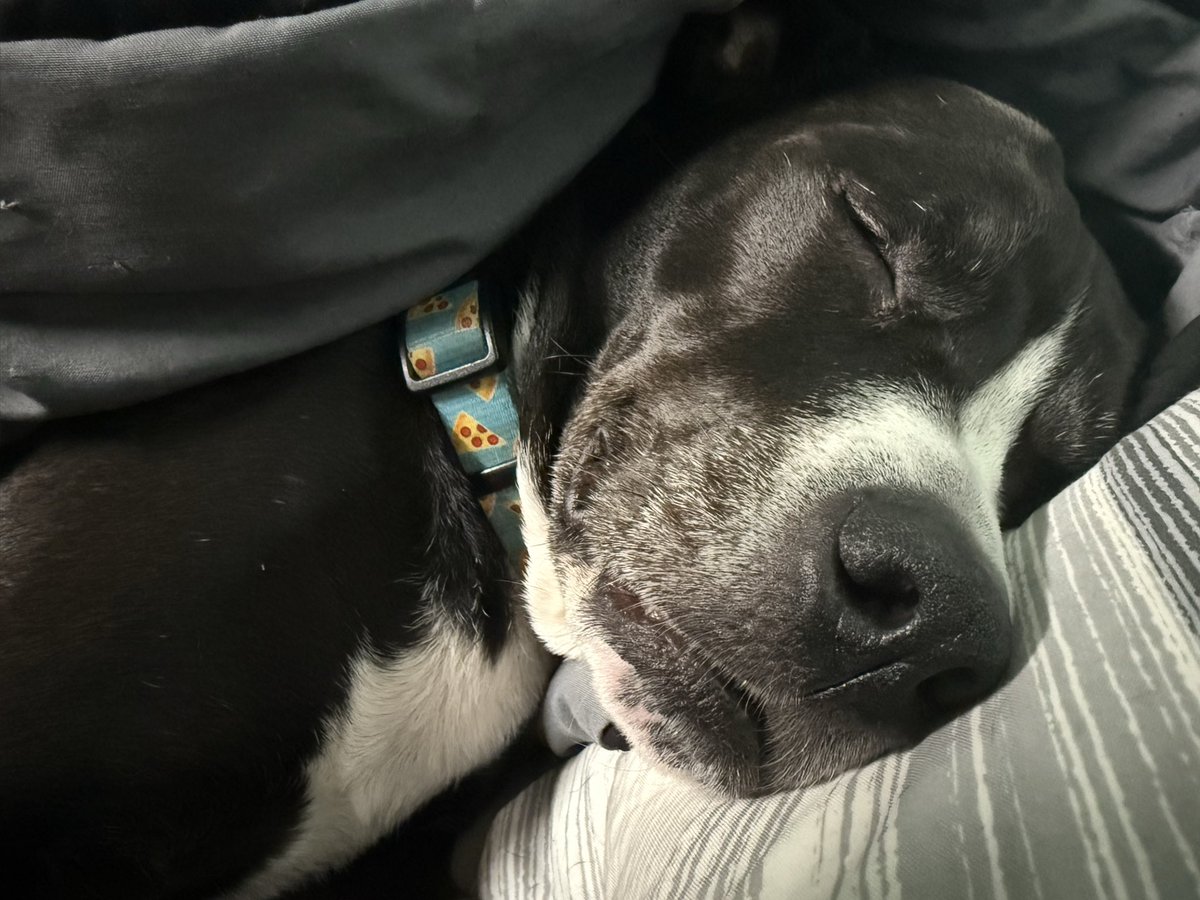 I wake up to this shit ever single morning, she snores in my ear, will i miss it while im in SD and Tx? Yes. and i will cry about it too