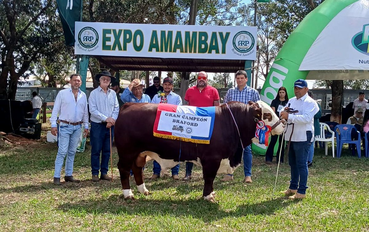 arp_py's tweet image. LAS RAZAS BRAFORD, BRANGUS Y SENEPOL CERRARON EL JUZGAMIENTO DE LA EXPO AMAMBAY 2025
Se presentaron animales de primer nivel genético que dieron un broche de oro espectacular a la tradicional muestra del interior del país.
👉acortar.link/fq3uPP