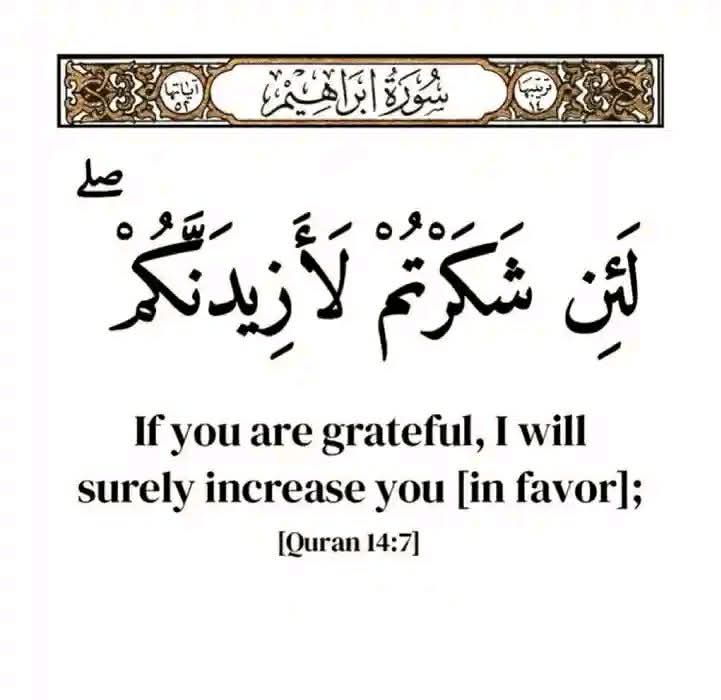 Most comfortable words by Allah ❤️