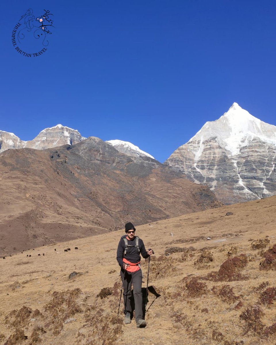 BhutanExplore's tweet photo. For those who love the thrill of the mountains, Bhutan Trekking Adventures with Thunphel Bhutan Travels are an absolute must.

Book your trekking adventure.

https://t.co/nfSMZMvG5E

#BhutanTrekkingAdventures #TrekBhutan #HimalayanTrekking #BhutanMountains #ThunphelBhutanTravels https://t.co/7EtJ1fRyud