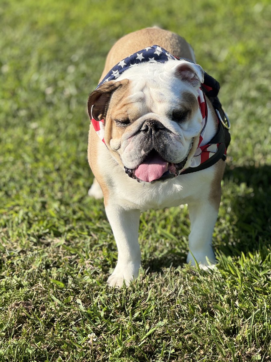 MidAtlanticBDR's tweet image. Good morning from Brenner ☀️
#TongueOutTuesday