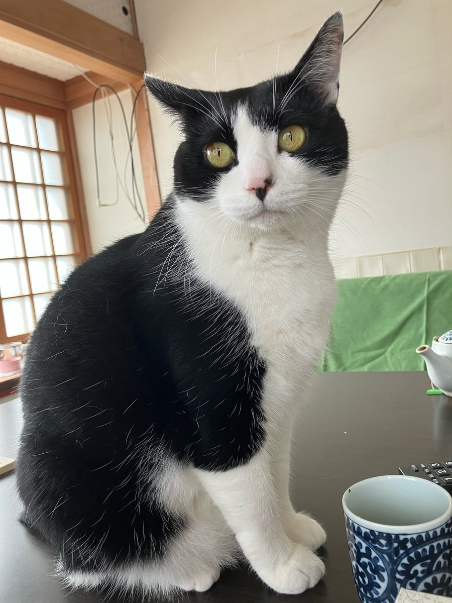 よしだ (@yoshida_xxx) / Posts / X