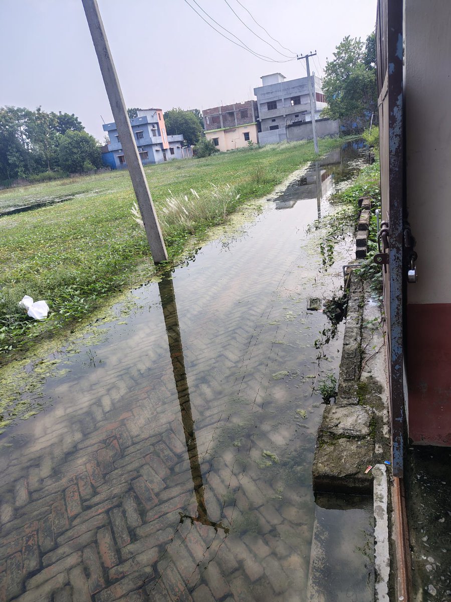 RavishK17201848's tweet photo. @NitishKumar @TheNewspinch @DM_Begusarai @UDHDBIHAR
Pathetic condition due to water logging at Lohiya Nagar (Behind Lotus bhawan) ward No -28  in Begusarai for the past 3 months  Requesting immediate action from the authorities. @cpgrams https://t.co/t4erC7pPaa