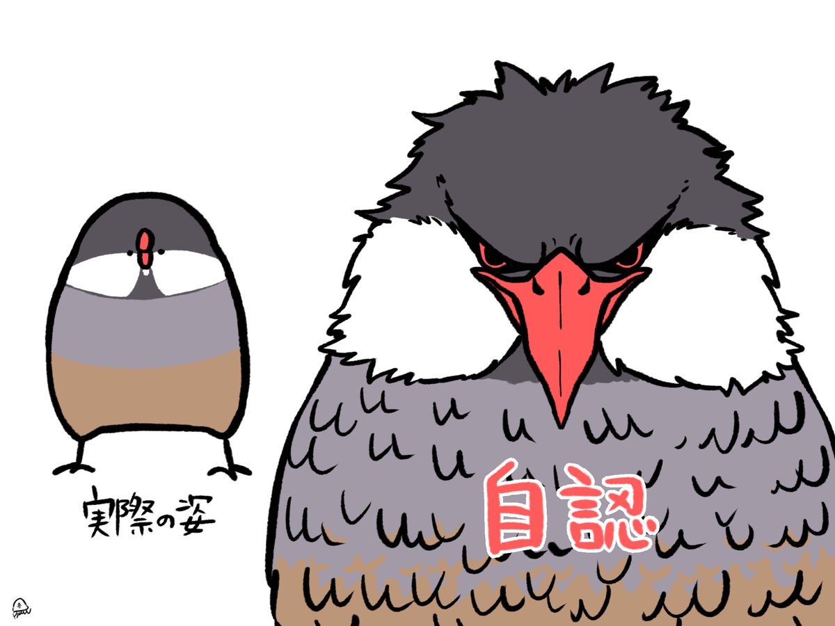 BuncheeAZ's tweet image. 文鳥の自認これ
