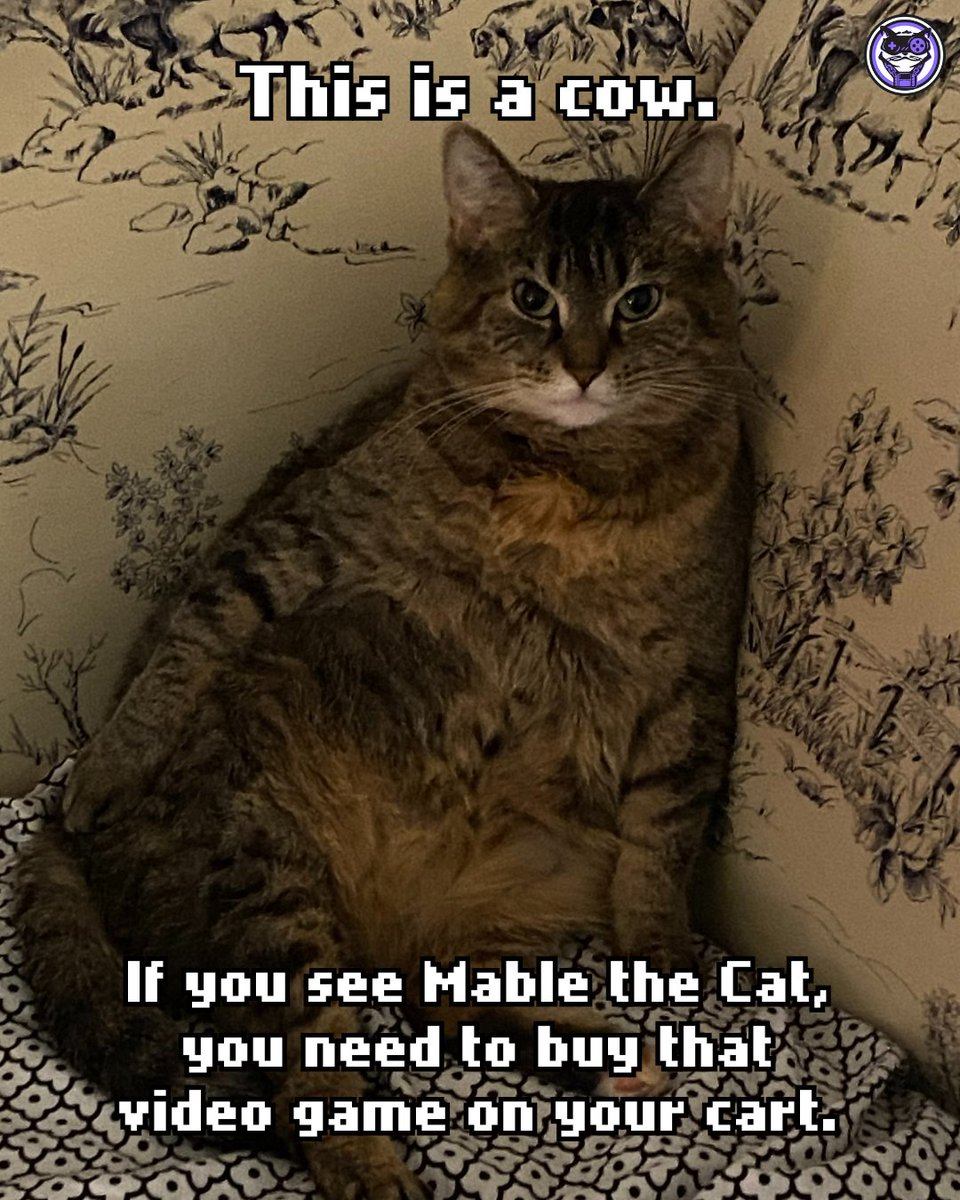 megacatstudios's tweet image. Tell us what you see! 👀 #meme #videogames #cat
