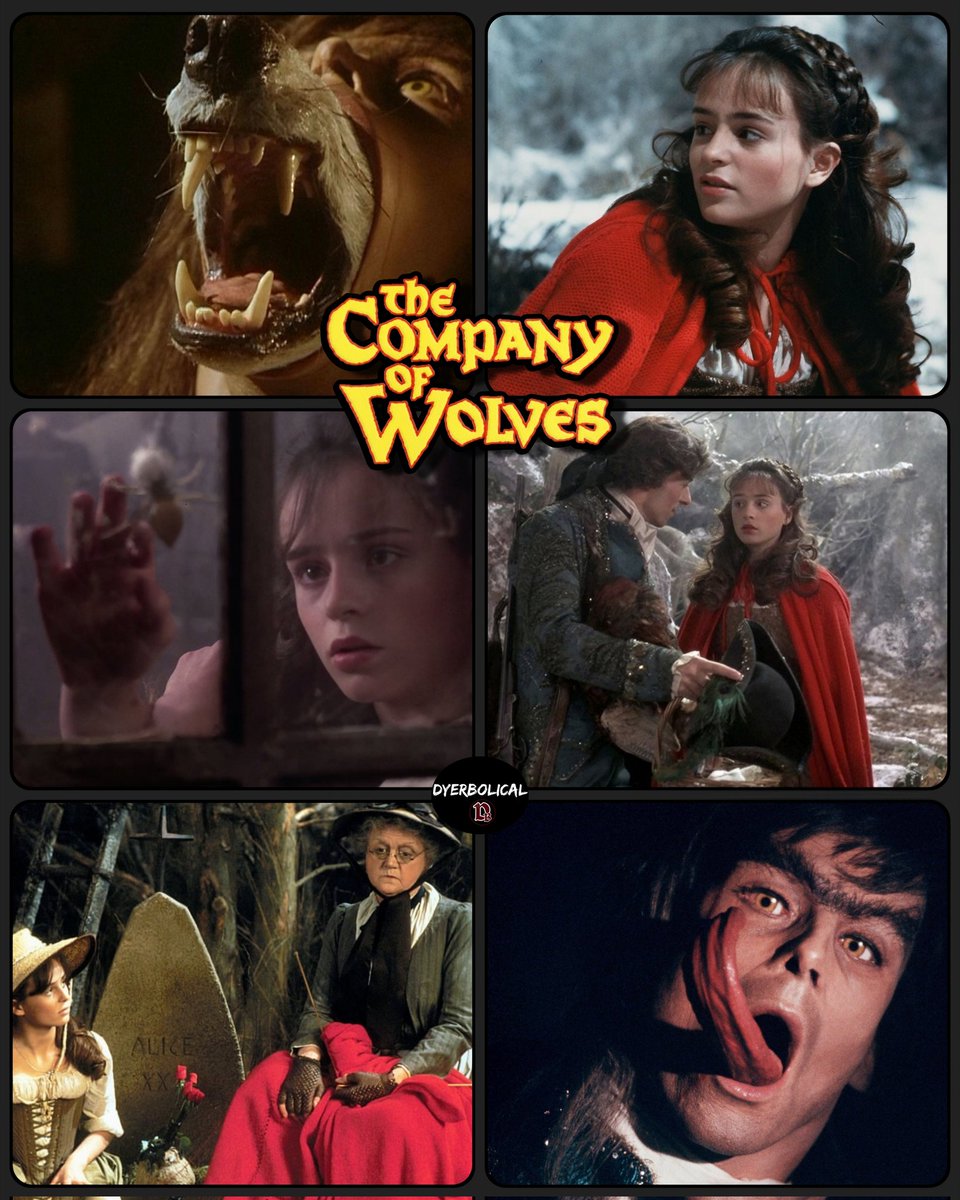 TheWolfmanDB's tweet photo. Great movie. https://t.co/SIFvETx86W