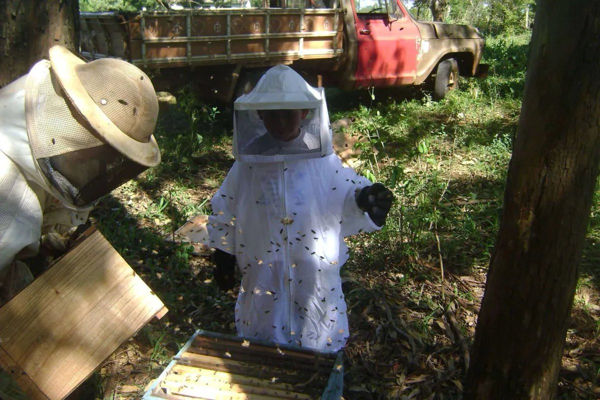 H7_Cripto's tweet image. 🐝 Why am i so bullish on @hivebits_io?
Maybe it’s in my DNA, i come from a family of beekeepers, and i’ve always admired how every hive thrives through collaboration and purpose.
Now, working in Web3, i see the same spirit, but on-chain.
With HiveBits, anyone can take part in…